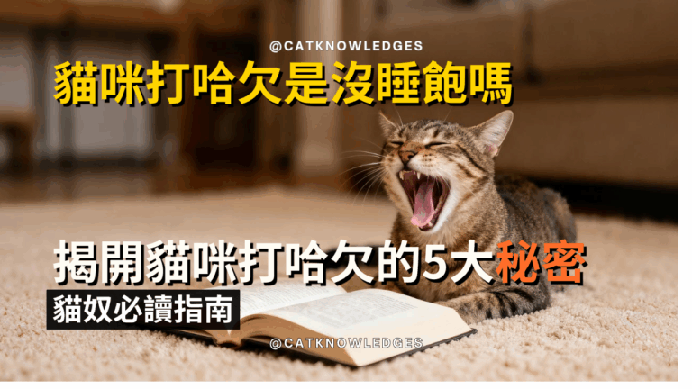 貓咪打哈欠是沒睡飽嗎