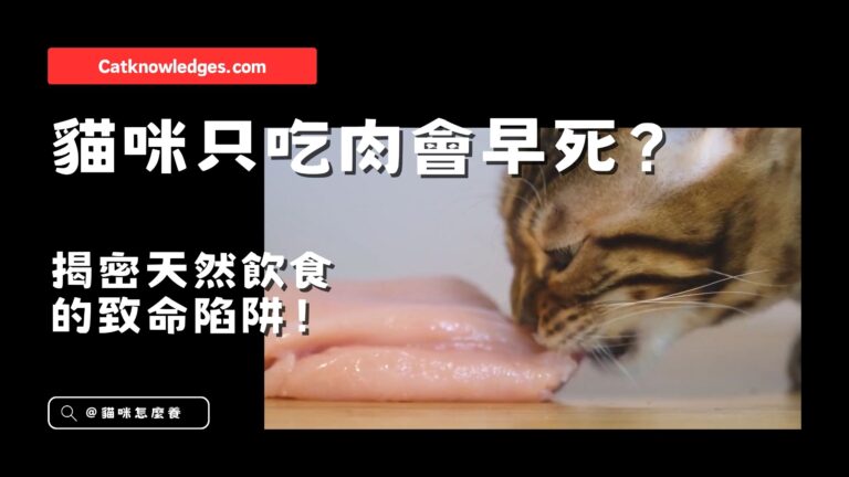 貓咪只吃肉會早死