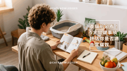養貓前必看