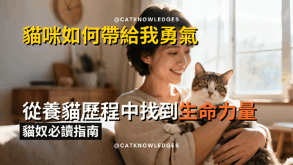 貓咪如何帶給我勇氣