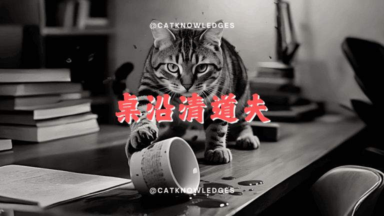 桌上的東西都需要飛翔