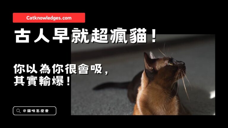 古人早就超瘋貓