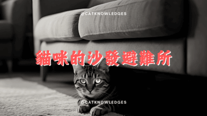 本喵的星際避難所大公開