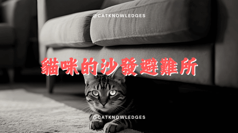 本喵的星際避難所大公開