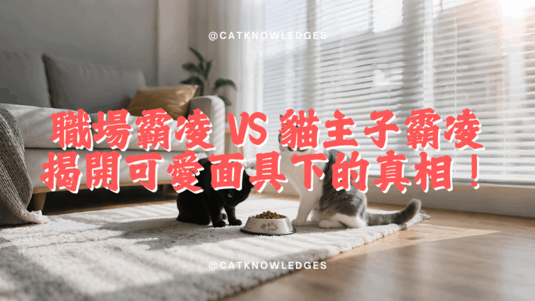 職場霸凌 vs 貓主子霸凌