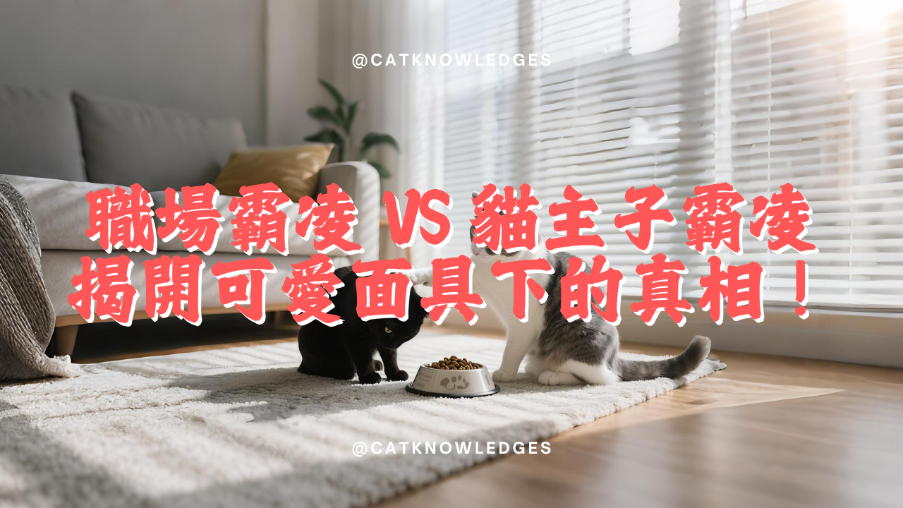 【寵物解答】 職場霸凌 vs 貓主子霸凌:誰才是霸凌界的真正狠角色?