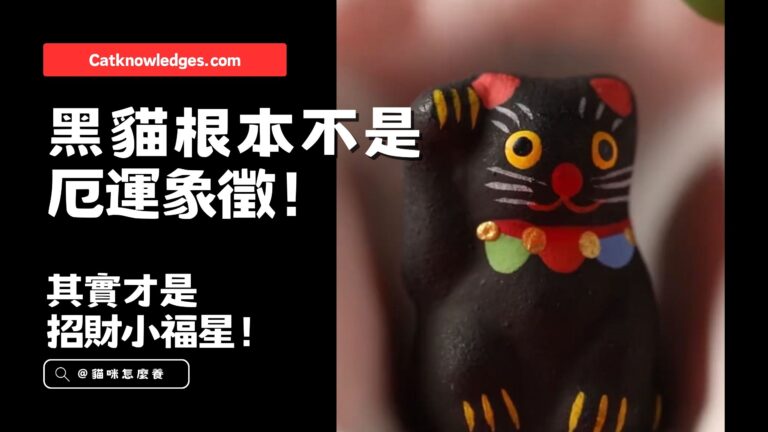 黑貓根本不是厄運象徵