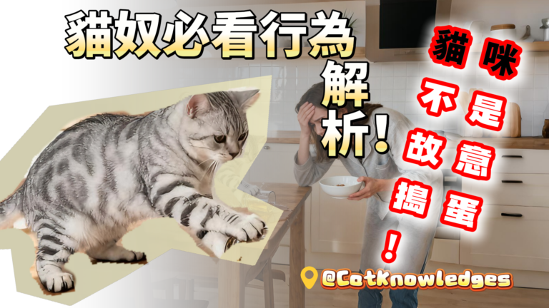 cat-annoying-behaviors