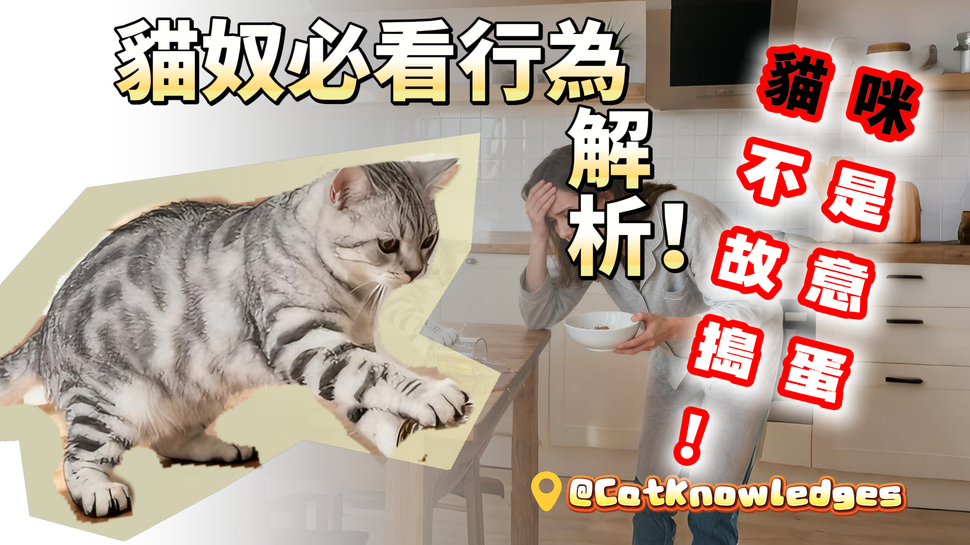 cat-annoying-behaviors