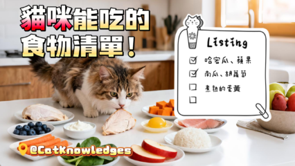 cat-safe-human-foods
