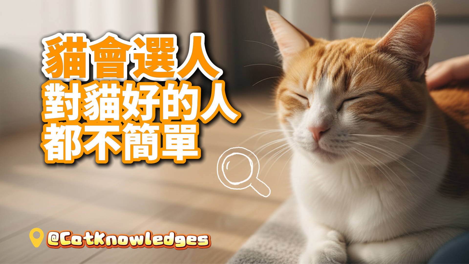 kind-to-cats-personality