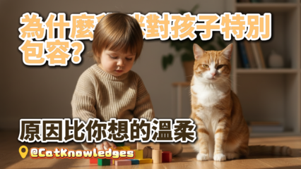 cats-and-children-behavior