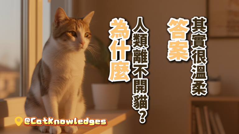 why-humans-love-cats