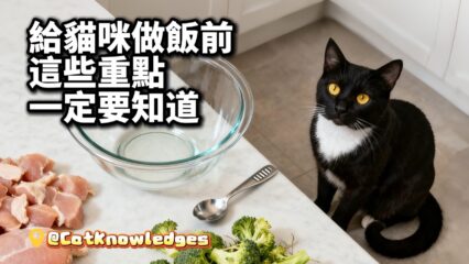 cat-homemade-food