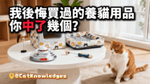 cat-care-scam-products