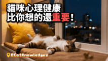 cat-mental-health