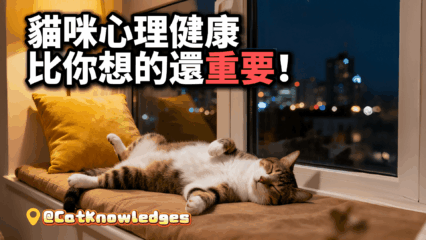 cat-mental-health
