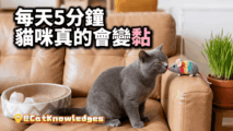 cat-bonding-5-minutes