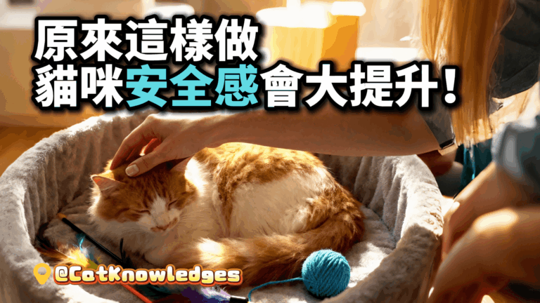 boost-cat-security