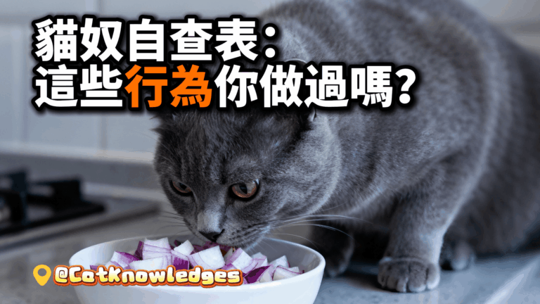 harmful-cat-owner-behaviors