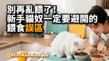 new-cat-feeding-mistakes