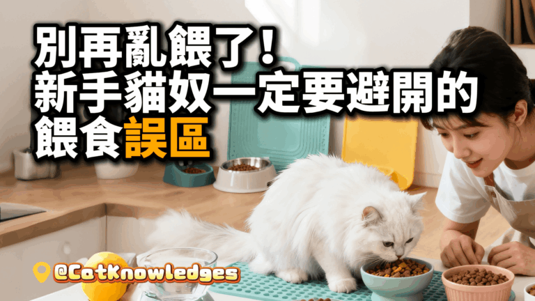 new-cat-feeding-mistakes