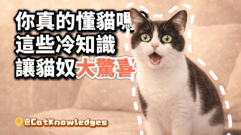 cat-facts-behavior