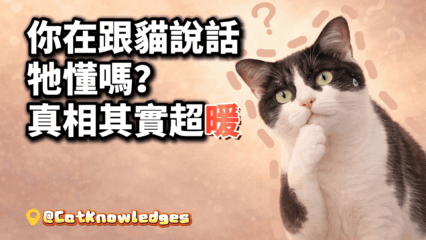 cat-understand-human-voice