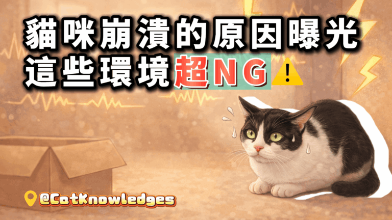 cat-stressful-environment