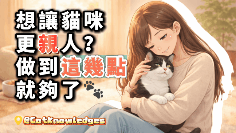 cat-happy-life-tips
