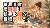 cat-care-beginner-tips