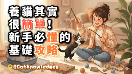 cat-care-beginner-tips