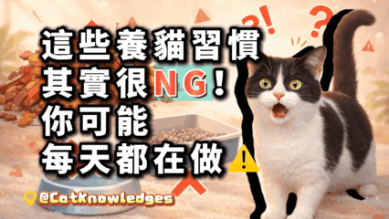 cat-care-mistakes