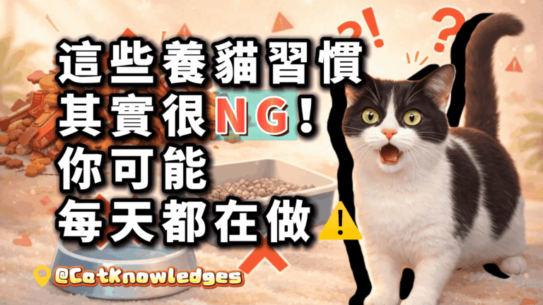 cat-care-mistakes