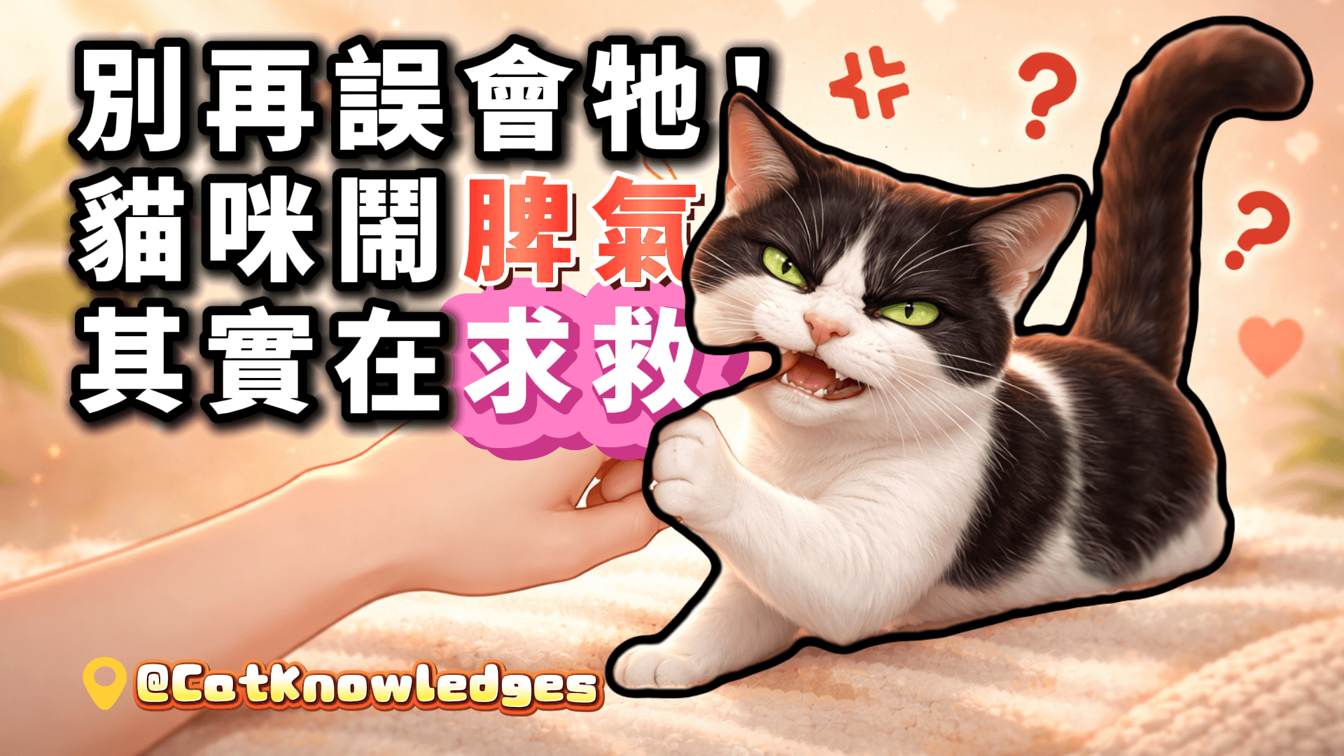 別再誤會牠！貓咪鬧脾氣其實在求救