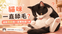 cat-licking-behavior-causes