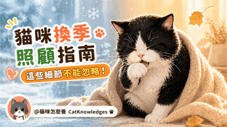 cat-seasonal-care-tips