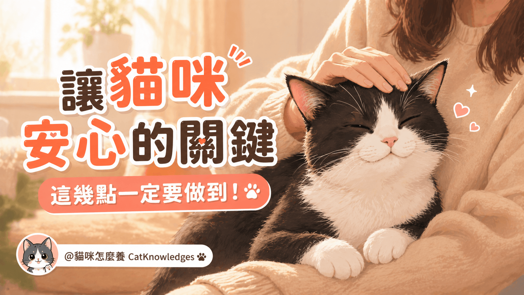 讓貓咪安心的關鍵，這幾點一定要做到！