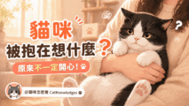 cat-being-held-feelings