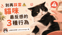 cat-hates-top3