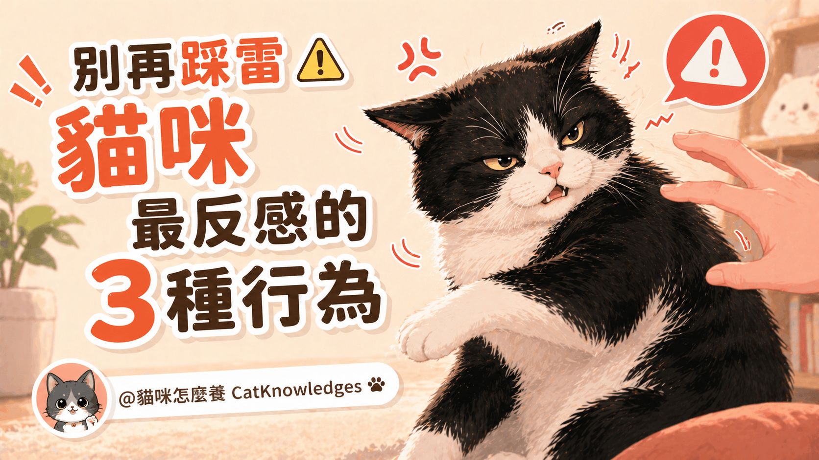 別再踩雷⚠️貓咪最反感的3種行為