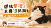 cat-happy-habits