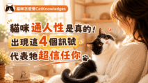 cat-human-connection-signs