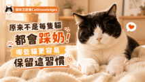 cat-kneading-behavior