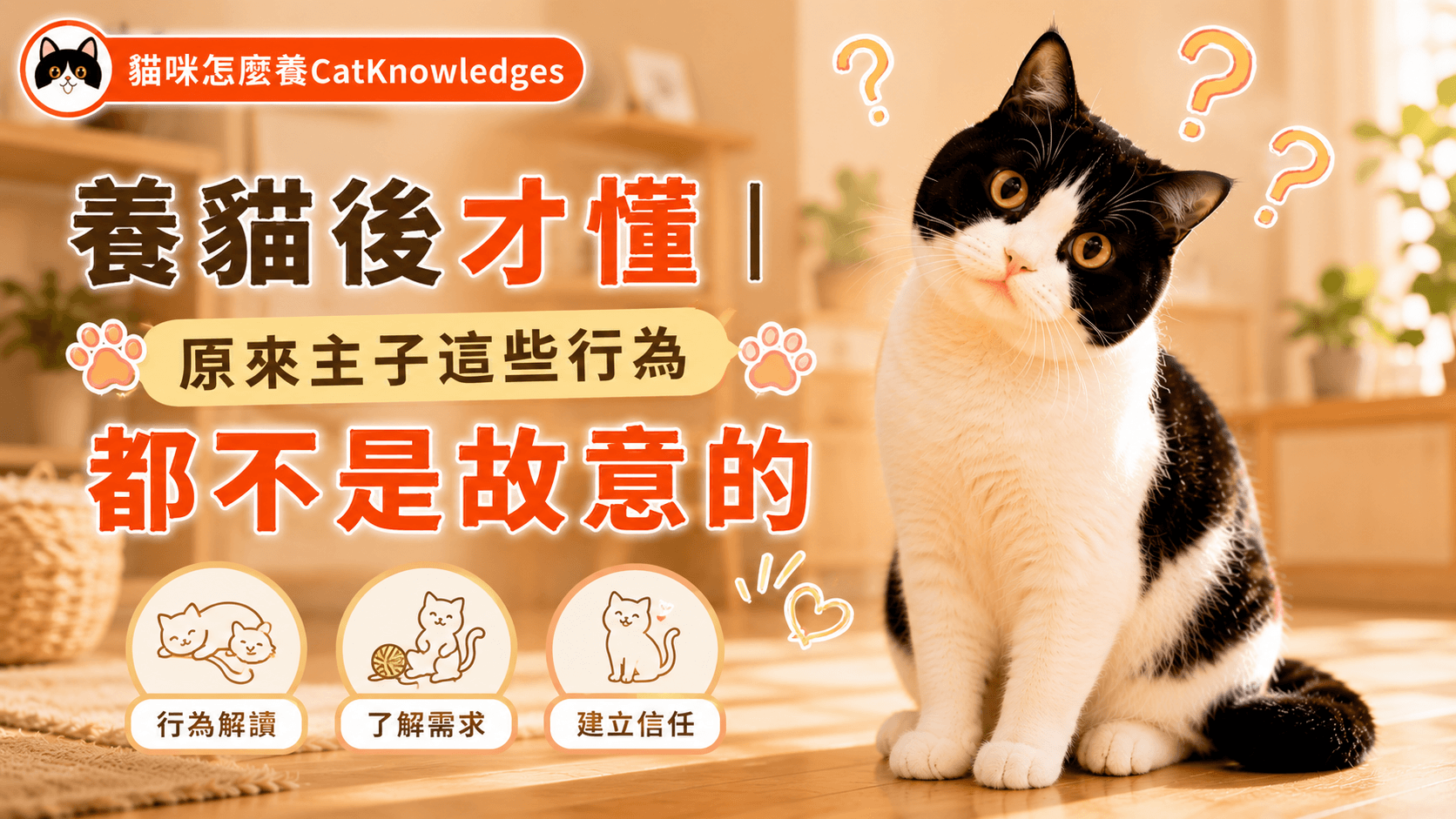 養貓後才懂｜原來主子這些行為都不是故意的