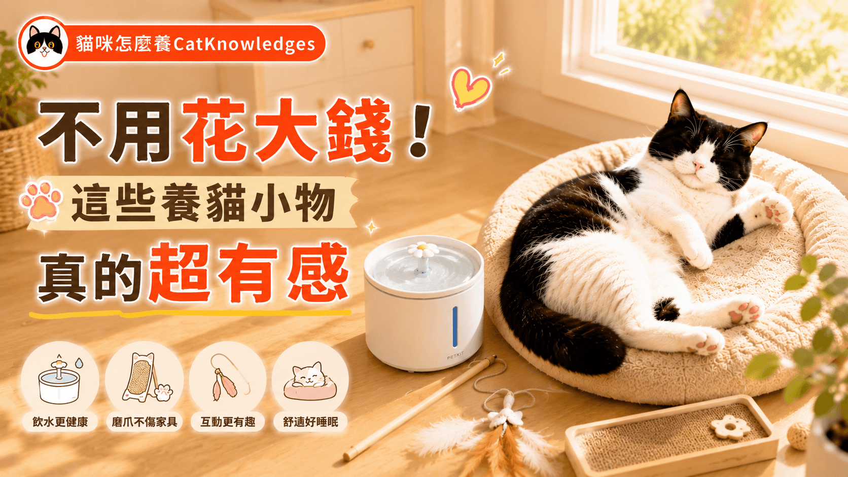 不用花大錢！這些養貓小物真的超有感