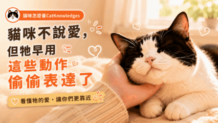 cat-love-signs