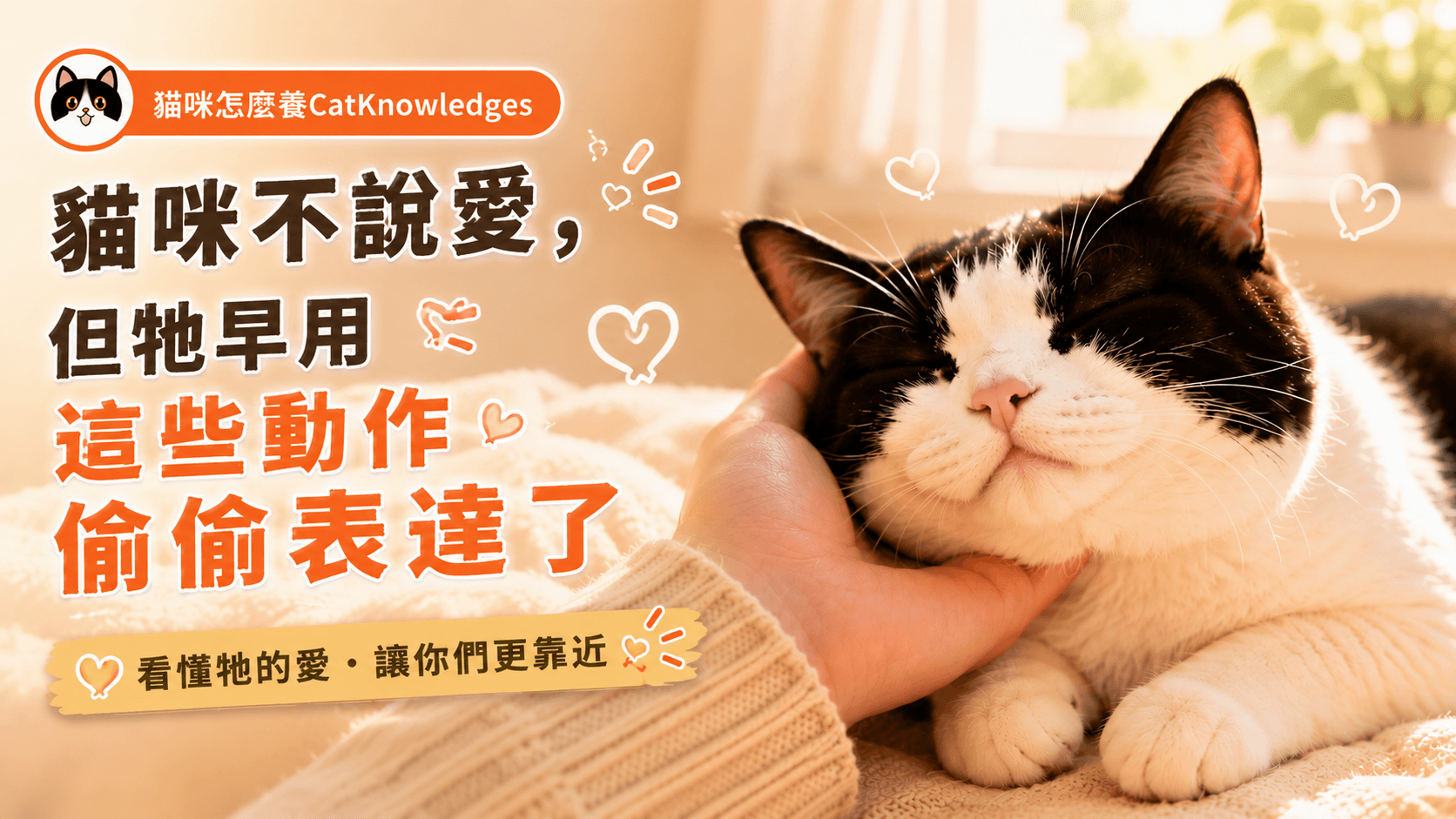 貓咪不說愛，但牠早用這些動作偷偷表達了