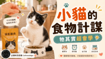 kitten-food-strategy