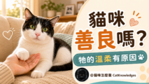 are-cats-kind